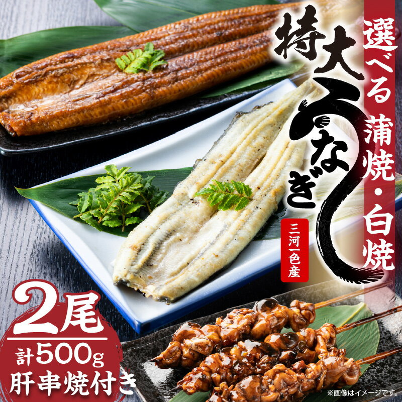 [蒲焼・白焼組合せ自由]三河一色産 最高級うなぎセット 特大2尾 [計500g][冷蔵配送]タレ付 お吸い物付 鰻 愛知県産 一色 鰻の蒲焼 鰻の白焼 特大うなぎ 肝 串焼き 高級鰻 最高級 土用丑の日 グルメ お取り寄せ 送料無料