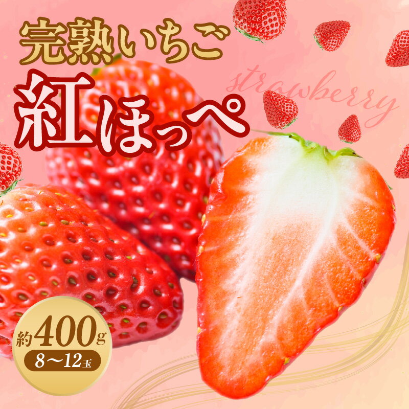 【ふるさと納税】苺香の完熟いちご「紅ほっぺ」