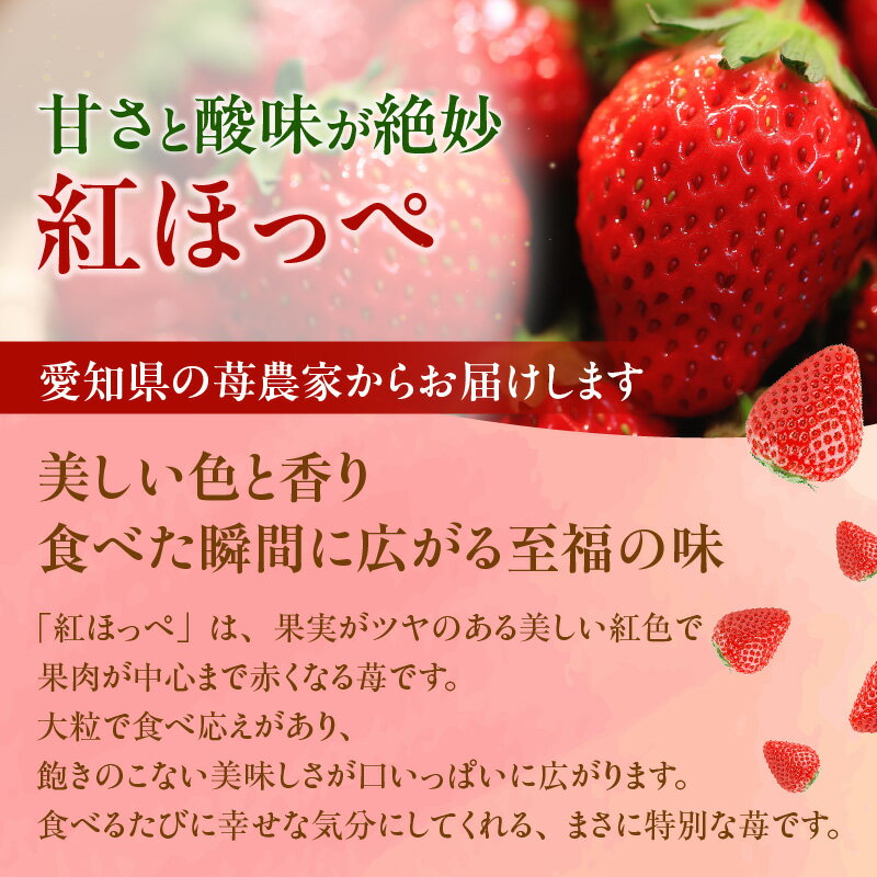 【ふるさと納税】苺香の完熟いちご「紅ほっぺ」