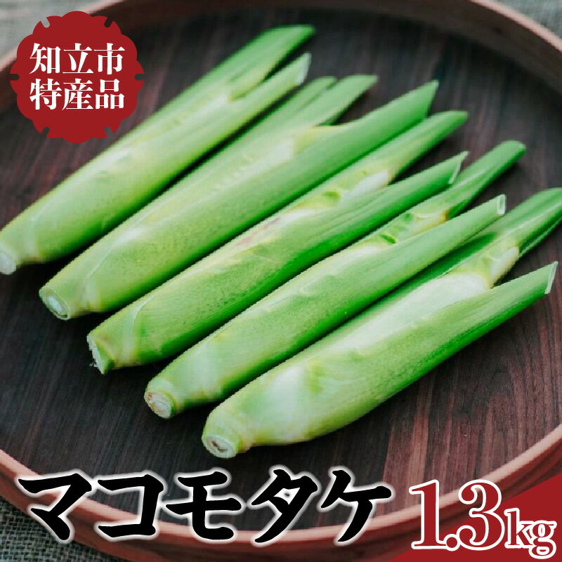 知立市特産　マコモタケ1.3kg【10月発送】お料理レシピ付（1250） ／ 野菜 マコモ 中華料理 高級食材 特産品 ベジタブル 自然の恵み 送料無料