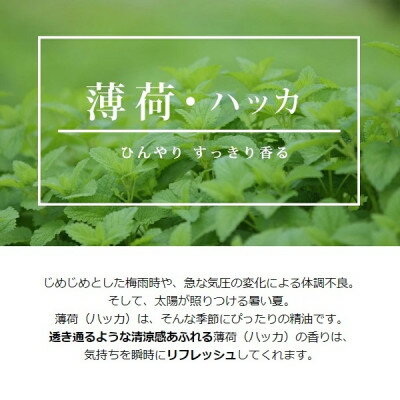 【ふるさと納税】easeアロマスプレー　ハッカ 100ml×2本 清涼感あふれる薄荷の香り　リフレッシュしたい時に【配送不可地域：沖縄県】【1426325】