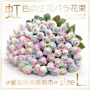 【ふるさと納税】生花 レインボーローズ 花束 ピュアパステル Lサイズ : 愛知県尾張旭市 50本【配送不可地域:離島・北海道・沖縄県・東北・中国・四国・九州】...
