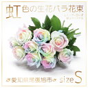 【ふるさと納税】生花 レインボーローズ 花束 ピュアパステル Sサイズ : 愛知県尾張旭市 10本【配送不可地域:離島・北海道・沖縄県・東北・中国・四国・九州】...