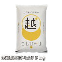 【ふるさと納税】愛知県産 コシヒカリ 5kg 【 令和6年度産 】お米 米 精米 白米 こしひかり ブランド米 芳醇な香り 贈り物 贈答 ギフト プレゼント お...