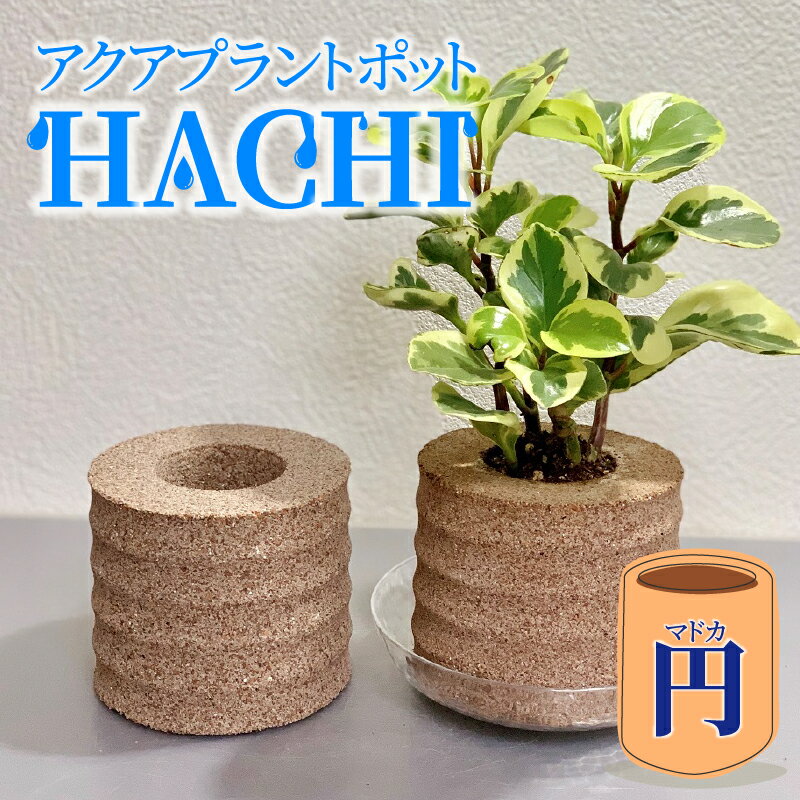 アクアプラントポットHACHI「円(マドカ)」[3色からお選びください]