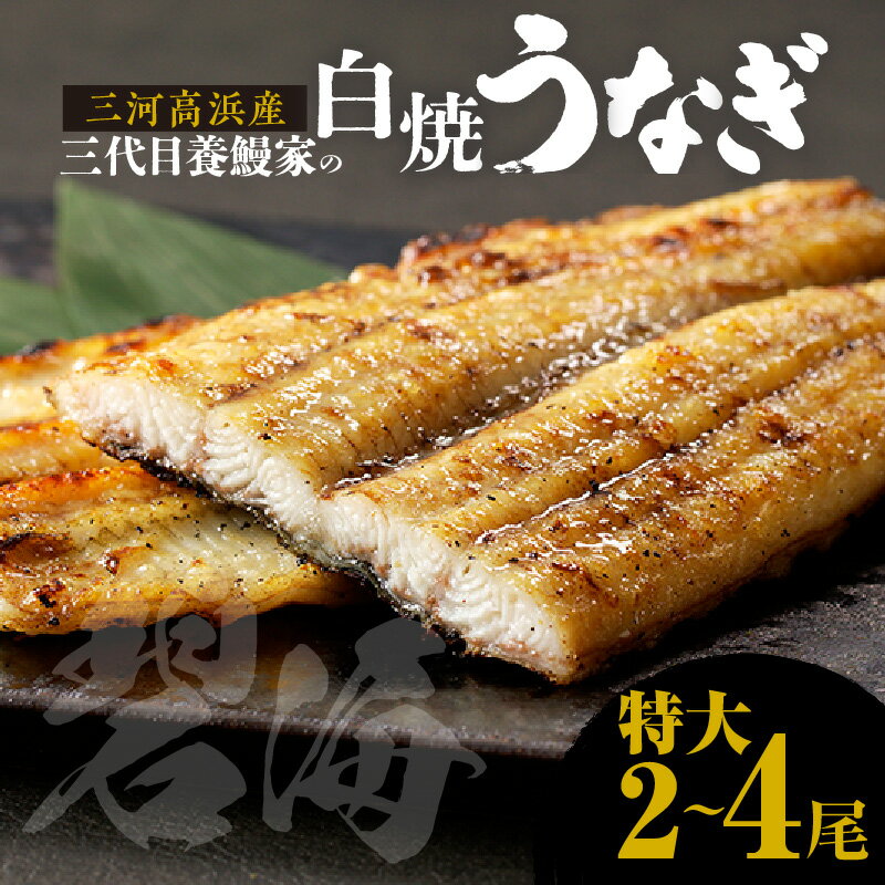 三河高浜産三代目 養鰻家 の白焼きうなぎ[特大][選べる尾数] タレ付 鰻 マツコの知らない世界 愛知県産 白焼き 特大うなぎ 国産 タレ うなぎ グルメ 養殖 肉厚 お祝い 丑の日 おいしい 食べ物 プレゼント ご馳走 高級 贈り物 魚介類 送料無料