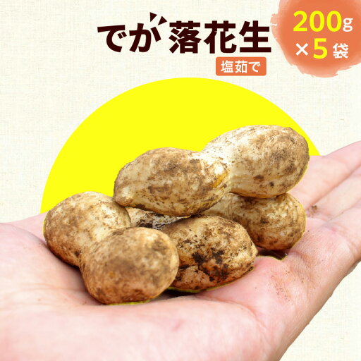 【ふるさと納税】落花生 1kg (200g×5袋) ピーナッツ でか落花生 秋 旬 秋の味覚 大きい 豆 小分け 塩茹で 冷凍 おつまみ 惣菜 簡単 便利 ゆで 殻付き 国産 食品 グルメ おすすめ お取り寄せ 野菜 すぐ食べられる 送料無料 【ふるさと納税】落花生 1kg (200g×5袋) ピーナッツ でか落花生 秋 旬 秋の味覚 大きい 豆 小分け 塩茹で 冷凍 おつまみ 惣菜 簡単 便利 ゆで 殻付き 国産 食品 グルメ おすすめ お取り寄せ 野菜 すぐ食べられる 送料無料