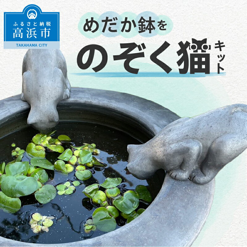 【ふるさと納税】めだか鉢をのぞく猫キット めだか鉢 三河焼 鉢 いぶし焼猫 猫 動物 可愛い 長持ち 手造り 工芸品 陶器 焼き物 置き物 飾り ガーデニング ビオトープ 愛知 高浜市 お取り寄せ 送料無料･･･