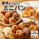【ふるさと納税】愛情たっぷりミニパン【計20個(10種類 各2個)】 パン 食べ比べ 詰め合わせ セット 冷凍 長期保存 あんぱん チョコパン クリームパン メロンパン チョコメロンパン チョコロール クルミパン さつま芋パン 紫芋パン リンゴデニッシュ 朝食 お取寄せ 送料無料