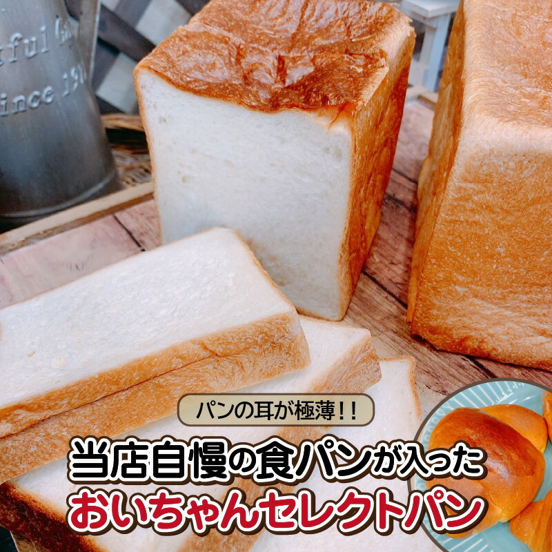 レーズンパン 【ふるさと納税】パン セレクトパン バラエティ セット 極薄耳 食パン レーズンパン カボチャパン 牛乳パン ショコラ カマンベール デニッシュ アマンドクロワッサン モンブラン アップル ショコラ 詰め合わせ おやつ お取り寄せ 冷凍 愛知県 高浜市 送料無料