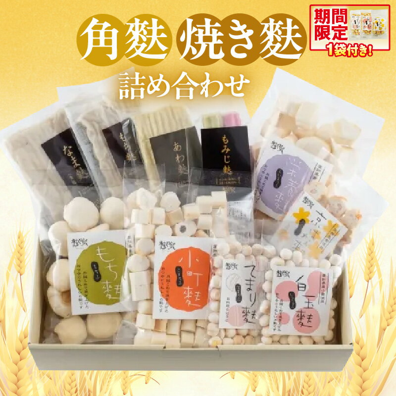 角麩・焼き麩 詰合せ[セット]なま麩 もち麩 あわ麩 もみじ麩 栄養麩 小町麩 もち麩 白玉麩 京はな麩 てまり麩 愛知県産小麦100%使用 ソウルフード 和食 生麩 乾物 詰合せ 食べ比べ 便利 小分け 贈り物 食品 アレンジ お取り寄せ 送料無料