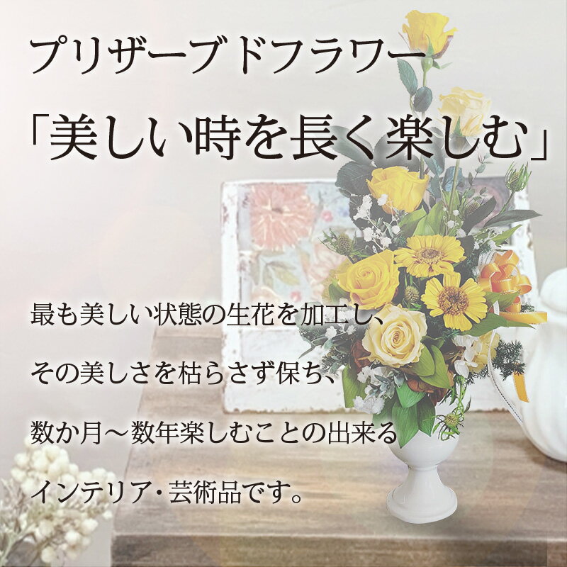 愛知県高浜市の画像3