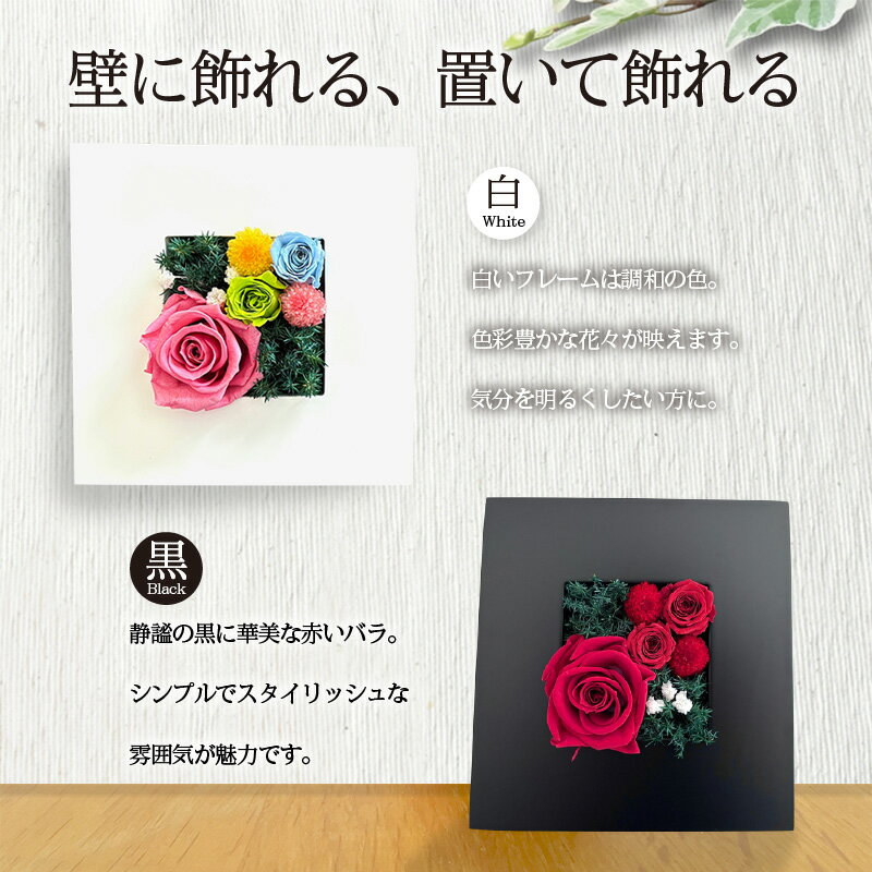 愛知県高浜市の画像2