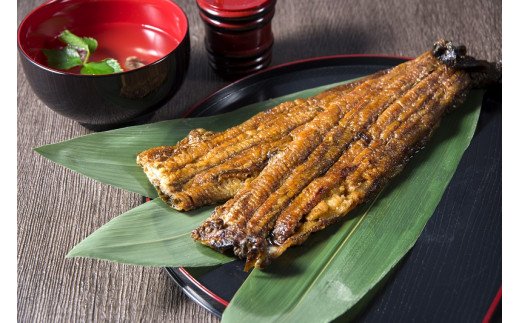 備長炭でじっくり焼き上げた うなぎまぶしセット (4人前)[0545]