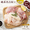 純系名古屋コーチン 定期便 (半羽×6回)｜コーチン 鶏肉 鳥肉 とり肉 塊肉 定期便