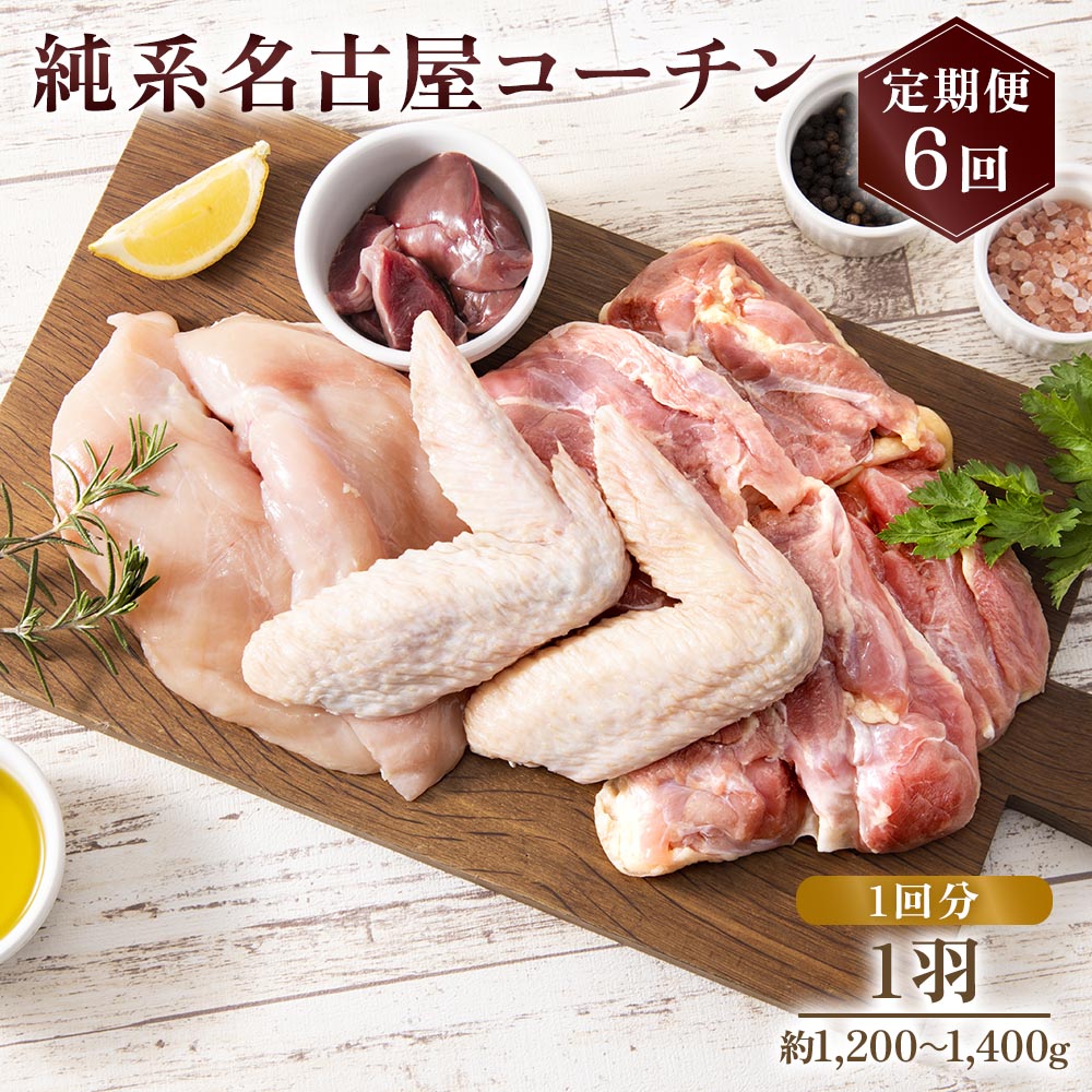 【ふるさと納税】純系名古屋コーチン 定期便 (1羽×6回)｜コーチン 鶏肉 鳥肉 とり肉 塊肉 定期便【0606】