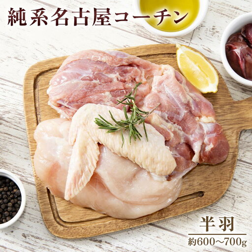 【ふるさと納税】純系名古屋コーチン (半羽)|コーチン 鶏肉 鳥肉 とり肉 塊肉【0603】 【ふるさと納税】純系名古屋コーチン (半羽)|コーチン 鶏肉 鳥肉 とり肉 塊肉【0603】