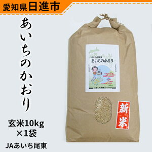 【ふるさと納税】JAあいち尾東　玄米「あいちのかおり」10kg×1袋　【玄米・お米】