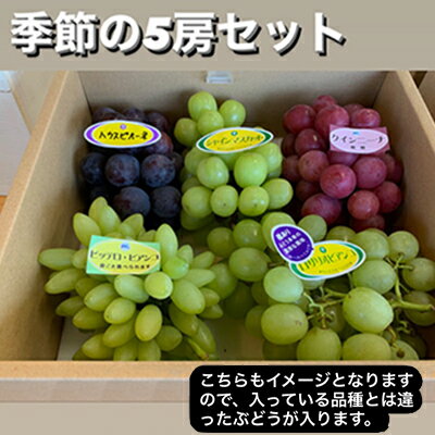 季節のフルーツ 5月 みんな探してる人気モノ 季節のフルーツ 5月 食品 季節のフルーツ 5月 みんな探してる人気モノ 季節のフルーツ 5月 食品