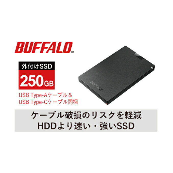 【ふるさと納税】BUFFALO/USB3.2（Gen1）ポータブルSSD TypeA＆C　250GB　【電化製品・バッファロー・取扱説明書・250GB】･･･