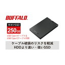 【ふるさと納税】BUFFALO/USB3.2（Gen1）ポータブルSSD TypeA＆C　250GB　【電化製品・バッファロー・取扱説明書・250GB】･･･