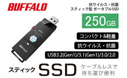 【ふるさと納税】【SSD-PUTVBシリーズ】　SSD-PUTVB250U3-B　【テレビ・生活家電・電化製品・SSD・抗菌】 画像1