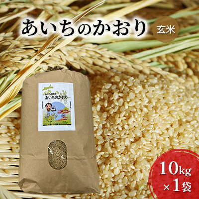 JAあいち尾東　玄米「あいちのかおり」10kg×1袋　【玄米 お米】