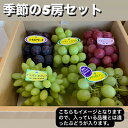 【ふるさと納税】季節のぶどう 5房 セット 詰め合わせ 葡萄 ぶどう ブドウ 果物セット フルーツセット 果物 くだもの フルーツ 旬の果物 旬のフルーツ 季節の果物 季節のフルーツ デザート 愛知 愛知県 日進市 お届け:2025年8月下旬~9月下旬まで