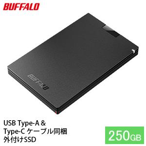 【ふるさと納税】BUFFALO バッファロー ポータブル S