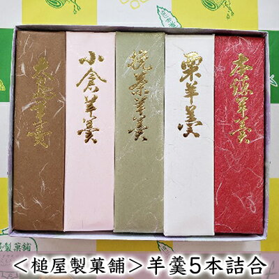 ＜槌屋製菓舗＞羊羹5本詰合　【和菓子 ようかん 羊羹 菓子 栗羊羹 小豆 あずき】