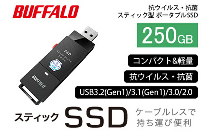 【ふるさと納税】BUFFALO バッファロー スティック型 SSD 250GB 抗ウイルス・抗菌 テレビ 録画 USB 電化製品 家電 パソコン PC周辺機器 パソコン周辺機器　【 日進市 】