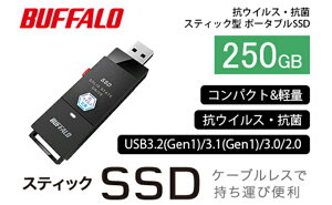 【ふるさと納税】BUFFALO バッファロー スティック型 SSD 250GB 抗ウイルス・抗菌 テレビ 録画 USB 電化製品 家電 パソコン PC周辺機器 パソコン周辺機器 【 日進市 】