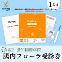 愛知国際病院 腸内フローラ検査受診券 アドバイス付き 腸活 生活改善 体質 　