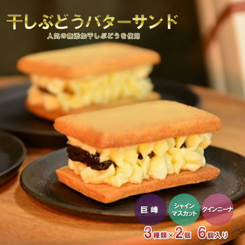 干しぶどうバターサンド6個入(3種類×2個) [ お菓子 焼菓子 洋菓子 スイーツ おやつ ティータイム ] お届け:2023年8月〜2024年4月まで