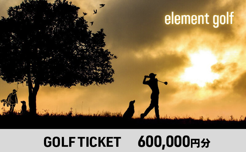 【ふるさと納税】【600,000円分】 elementgolf ゴルフチケット (ゴルフクラブ作成、修理・調整、フィッティング) エレメントゴルフ × 名古屋外国語大学コラボデザインチケット ゴルフ ゴルフクラブ 愛知 日進市