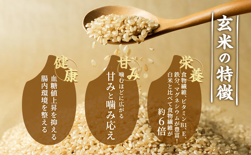 【ふるさと納税】愛知県産 あいちのかおり 玄米 5kg お米 玄米 ライス ご飯 おにぎり お弁当 和食