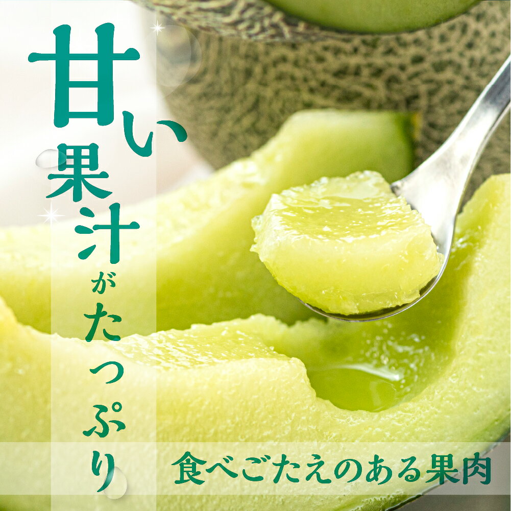 愛知県田原市の画像2