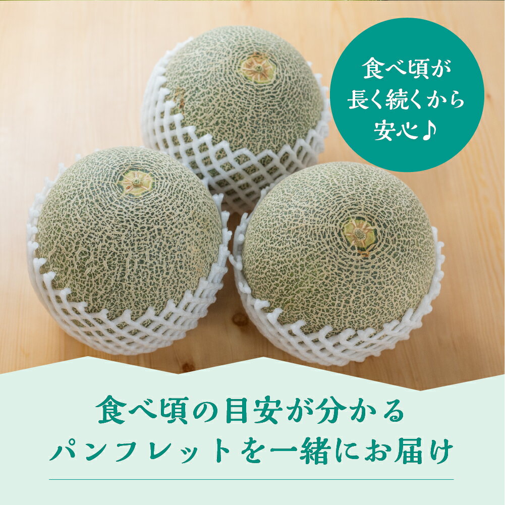 愛知県田原市の画像3