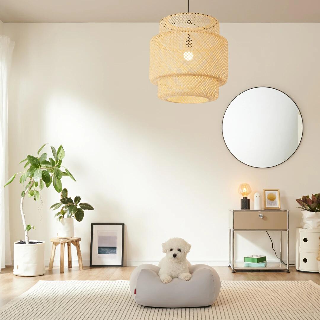 愛知県田原市の画像3