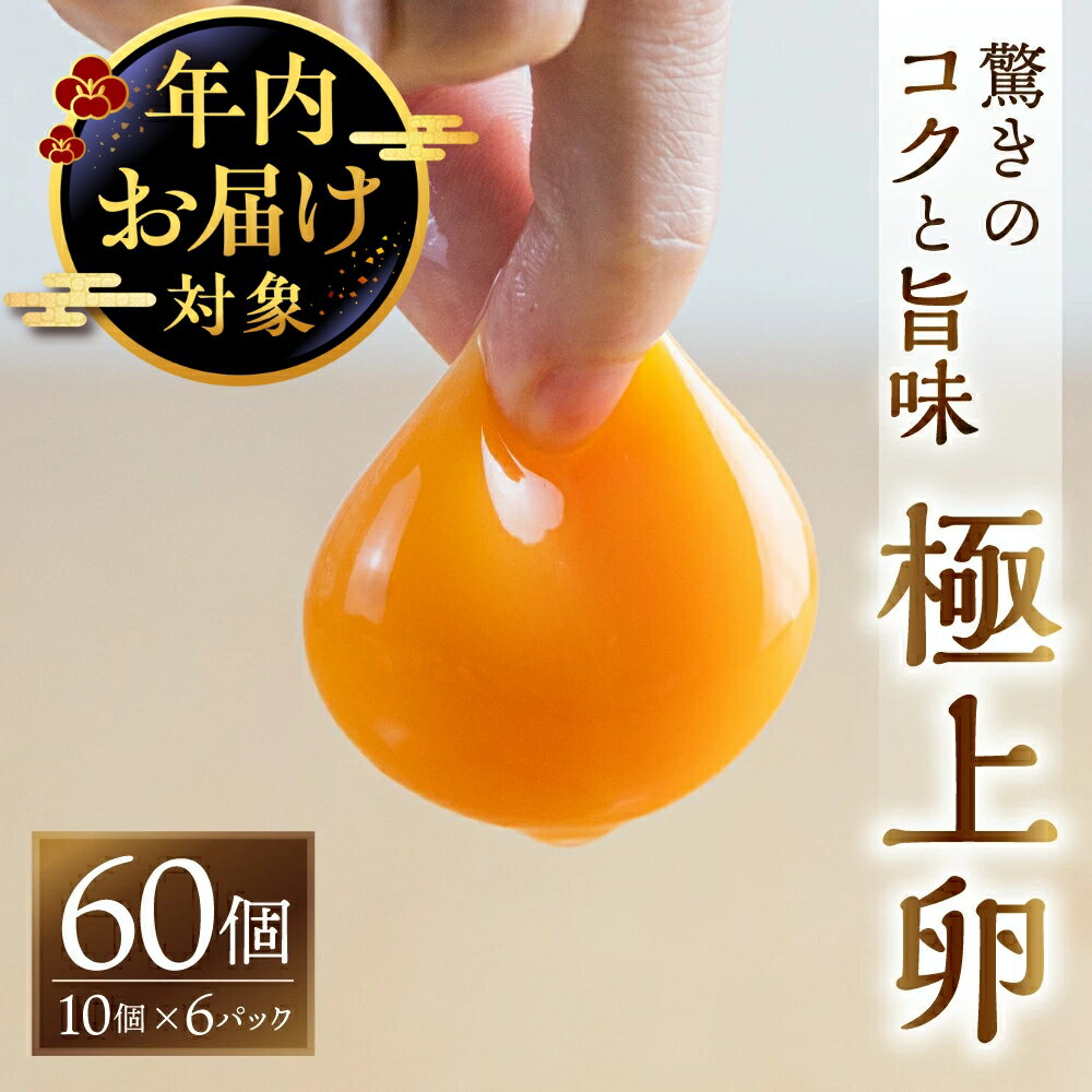 65位! 口コミ数「6件」評価「4.83」《年内発送》＼高評価★5／ 感動 極上卵 60 個 割れ保証付き たまご カミヤタマゴ たまこちゃん 卵 鶏卵 玉子 たまごかけご飯 お取り寄せ 小分け 生卵 濃厚 高級 定期便 3ヶ月 6ヶ月 12･･･ 