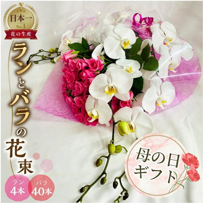 【母の日】ランとバラの花束 ラン4本 バラ 40本 色が選べる カラー 花束 薔薇 胡蝶蘭 花束 生花 ギフト プレゼント 日時指定可 愛知県 田原市 70000円 7万円