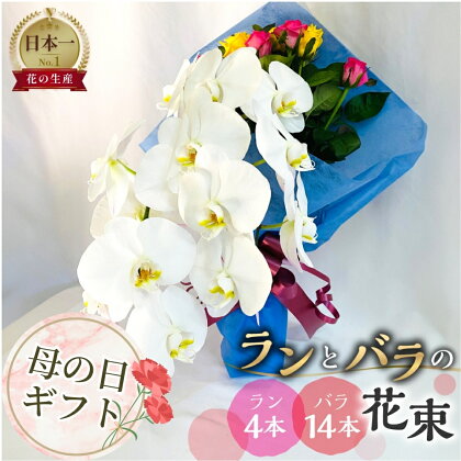 【母の日】ランとバラの花束 ラン4本 バラ 14本 色が選べる カラー 花束 薔薇 胡蝶蘭 花束 生花 ギフト プレゼント 日時指定可 愛知県 田原市 40000円 4万円