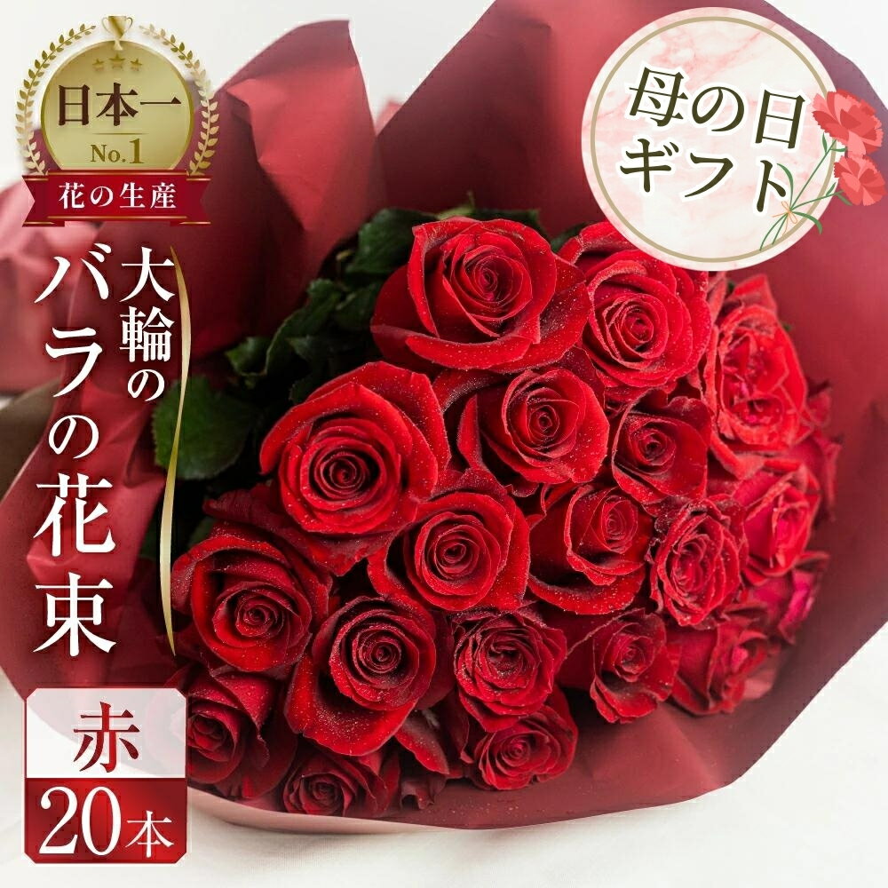 【ふるさと納税】【母の日】 バラ 花束 大輪 赤 20本 (40cm) ブーケ 薔薇 ローズ 生花 日時指定可 観賞用 母の日 プレゼント 花 ギフト 誕生日 植物 フラワー 母の日 遅れてごめんね 敬老の日 バラの花束 土壌栽培 産地直送 田原市 人気 切り花 切花 10000円 1万円