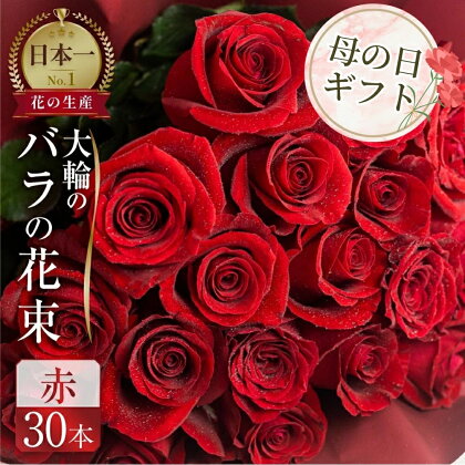 【母の日】 バラ 花束 大輪 赤 30本 (40cm) ブーケ 薔薇 ローズ 生花 日時指定可 観賞用 プレゼント 花 ギフト 母の日 遅れてごめんね 誕生日 植物 フラワー 土壌栽培 産地直送 田原市 人気 切り花 切花 15000円