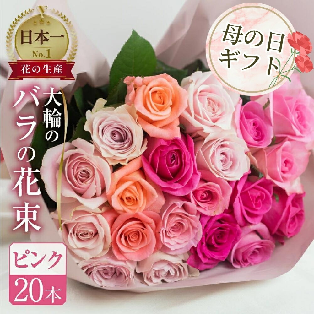 【ふるさと納税】【母の日】 バラ 花束 大輪 ピンク 20本 (40cm) ピンクミックス ブーケ 薔薇 ローズ 生花 日時指定可 母の日 遅れてごめんね 観賞用 プレゼント 花 ギフト 誕生日 植物 フラワー 土壌栽培 産地直送 田原市 人気 切り花 切花 10000円 1万円