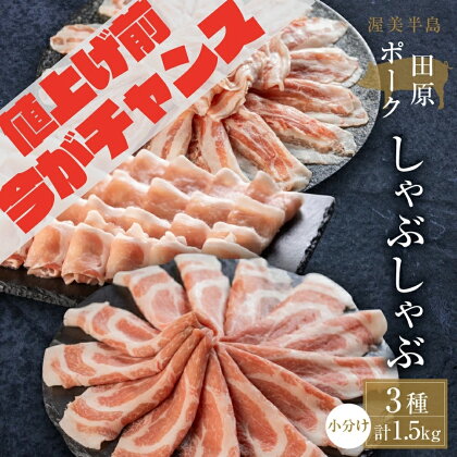 国産 豚肉 食べ比べ 500g × 3 計 1.5kg しゃぶしゃぶ用 ロース 肩ロース バラ 冷凍 田原ポーク 小分け 100g ずつ 個包装 ぶた スライス 薄切り 豚しゃぶ 贈り物 ギフト 化粧箱 食品 送料無料 冷凍 Gファーム 15000円 45000円 90000円 180000円