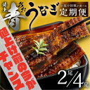 12位! 口コミ数「26件」評価「4.85」《5月末金額改定》 幻の青うなぎ 蒲焼 定期便 回数が選べる 3回 6回 12回 お届け 定期便 2尾 4尾 タレ付き 山椒付き 毎月お届け･･･ 