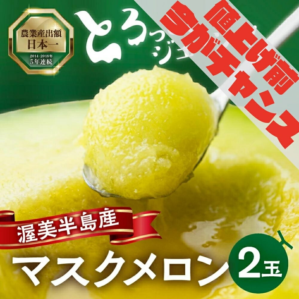 19位! 口コミ数「6件」評価「4.33」《5月末金額改定》発送時期が選べる メロン 2023 2玉 マスクメロン (1玉 1.5kg以上) 渥美半島産 マルカ農園 メロン めろん ･･･ 