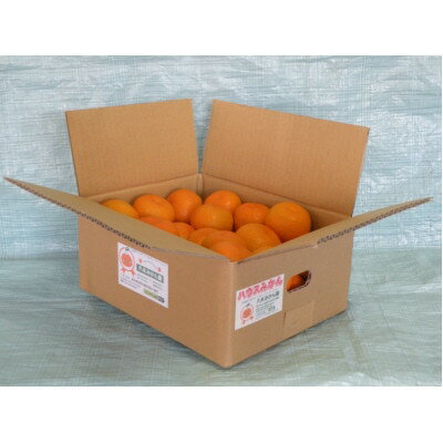 【ふるさと納税】八木みかん園の農家直送ハウスみかん2kg入り みかん ミカン mikan 送料無料 フルーツ 果物 お取り寄せ 本場 幸せの連鎖 甘い 濃厚 コク ジューシー 応援 寄附 産地直送のサムネイル