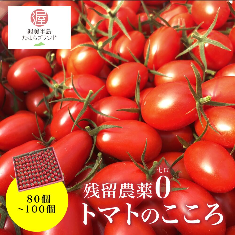 ≪先行予約≫【残留農薬ゼロ】とまとのこころ(アイコとまとプレミアム)約80〜100個 ミニトマト 新鮮 フルーツトマト 健康 リコピン お取り寄せ お取り寄せグルメ 先行予約 食品 産地直送 送料無料